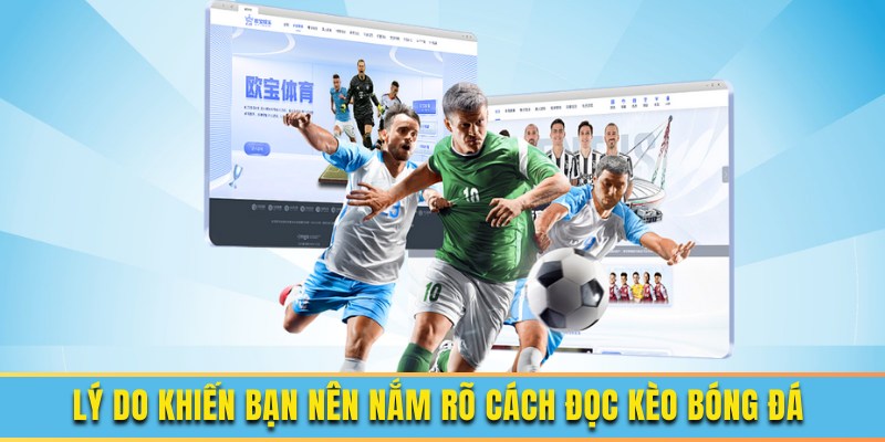 Một số ưu điểm đặc biệt
