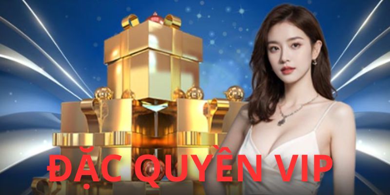 Nâng cấp tài khoản là cơ hội để nhận thêm quà tặng bất ngờ
