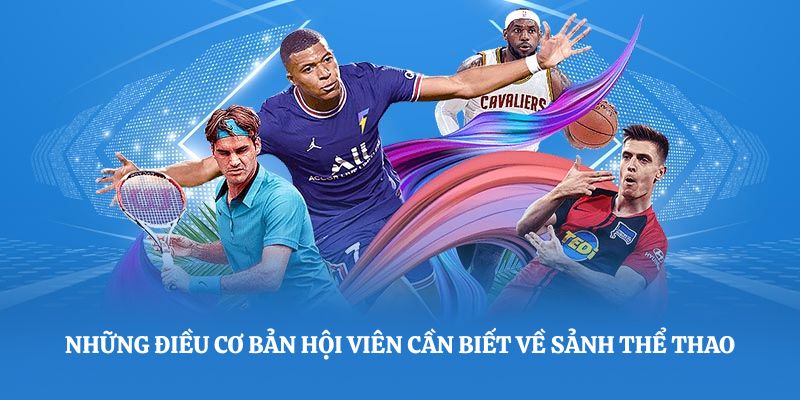 Những điều cơ bản hội viên cần biết về sảnh thể thao