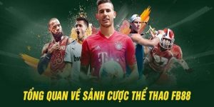 Giới thiệu về sảnh cược thể thao FB88