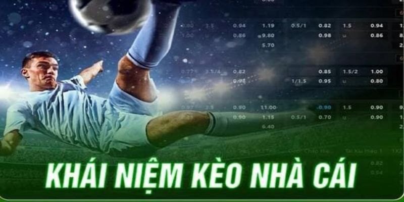 Tổng quan vài nét đặc biệt về kèo nhà cái