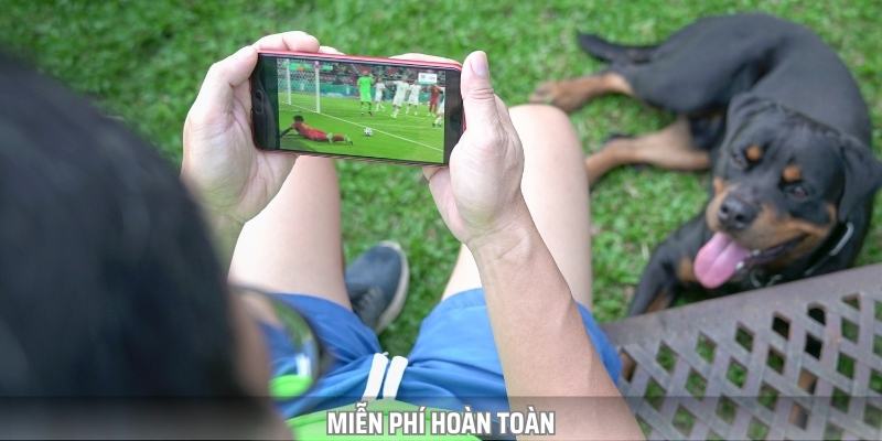 Khi đến đây, bạn sẽ không cần bỏ ra bất kỳ chi phí nào để xem trực tiếp