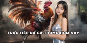 trực tiếp đá gà thomo hôm nay