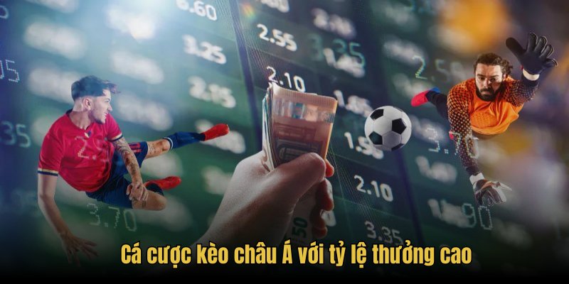 Cá cược kèo châu Á với tỷ lệ thưởng cao