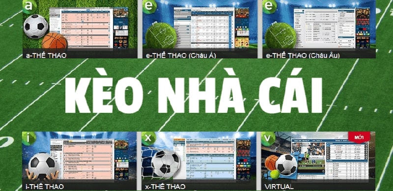 Cách đọc kèo nhà cái hôm nay – Đừng để nhà cái dắt mũi