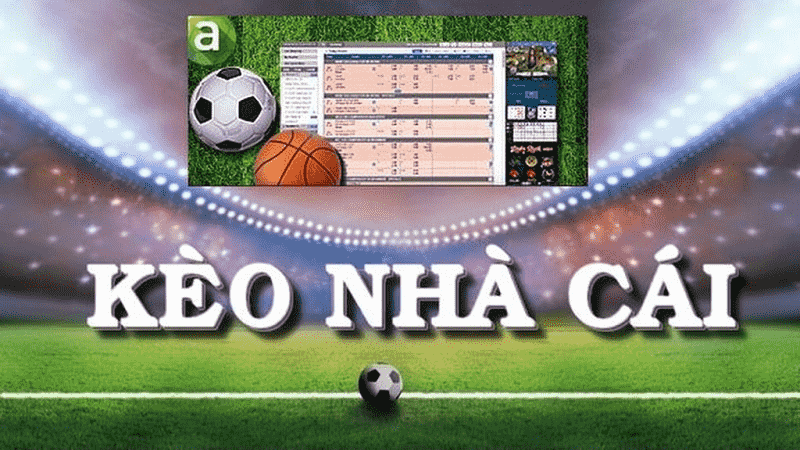 Kèo nhà cái hôm nay – Cánh cửa mở ra cả cơ hội lẫn cạm bẫy