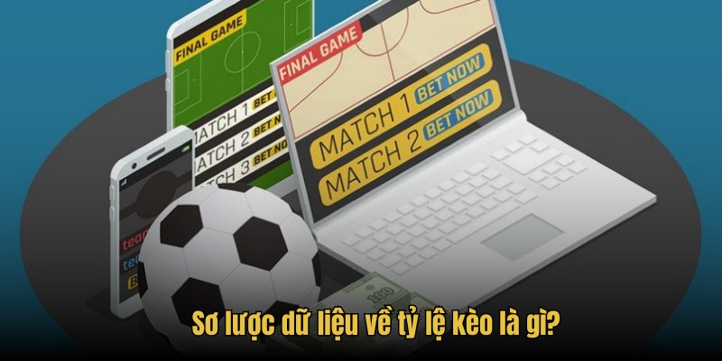 Sơ lược dữ liệu về tỷ lệ kèo là gì?
