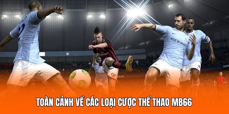 Toàn cảnh về các loại cược thể thao MB66