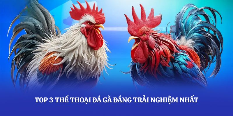 Top 3 thể thoại đá gà xoso66 đáng trải nghiệm nhất
