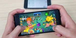 Chiến thuật chặt chém cá bất bại từ cao thủ F8BET
