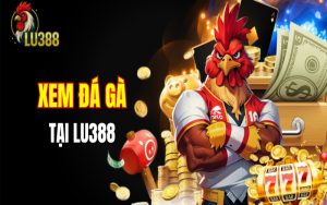 Sử dụng thiết bị an toàn