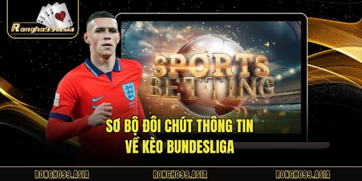 Sơ bộ đôi chút thông tin về kèo Bundesliga