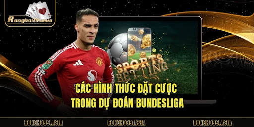 Các hình thức đặt cược trong dự đoán Bundesliga