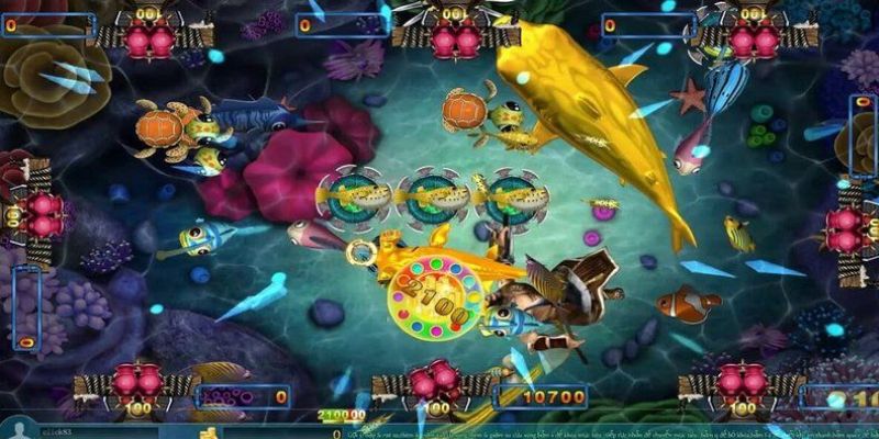 Nắm chắc chu kỳ Long Vương xuất hiện