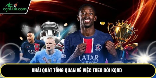 Khái quát tổng quan về việc theo dõi kqbd