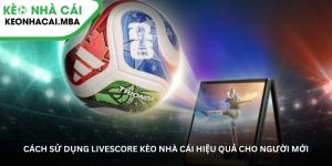 Cách sử dụng Livescore kèo nhà cái hiệu quả cho người mới