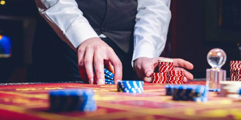 Vận dụng chiến thuật nuôi bài thông minh để tối ưu hóa nguồn vốn